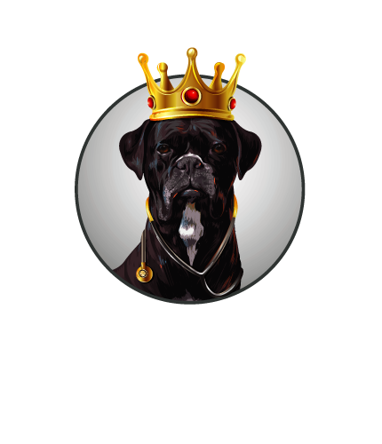 Kings Court Veterinary Services